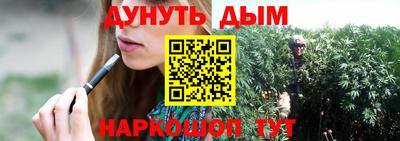 a pvp Славгород