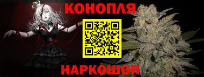 a pvp Славгород