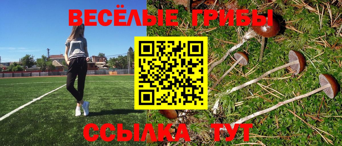 Псилоцибиновые грибы ЛСД  Ярцево 